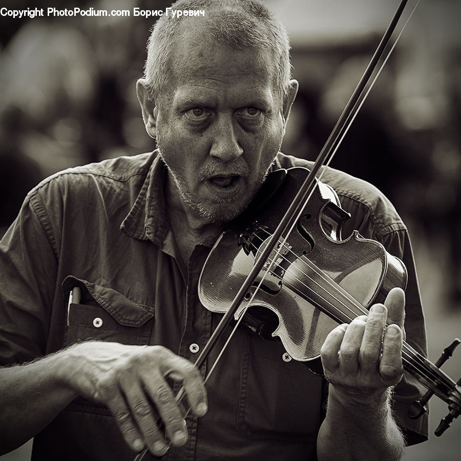 People, Person, Human, Cello, Fiddle, Musical Instrument, Violin