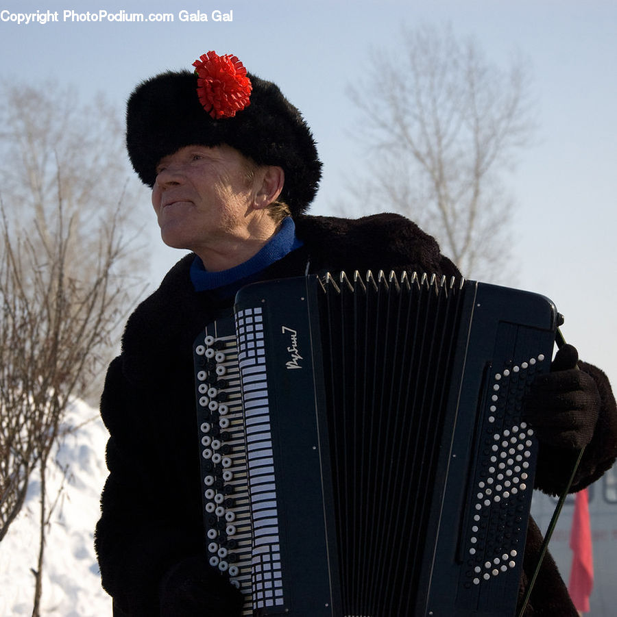 Accordion, Musical Instrument, People, Person, Human