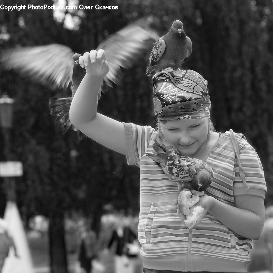 Bird, Pigeon, People, Person, Human, Portrait, Selfie