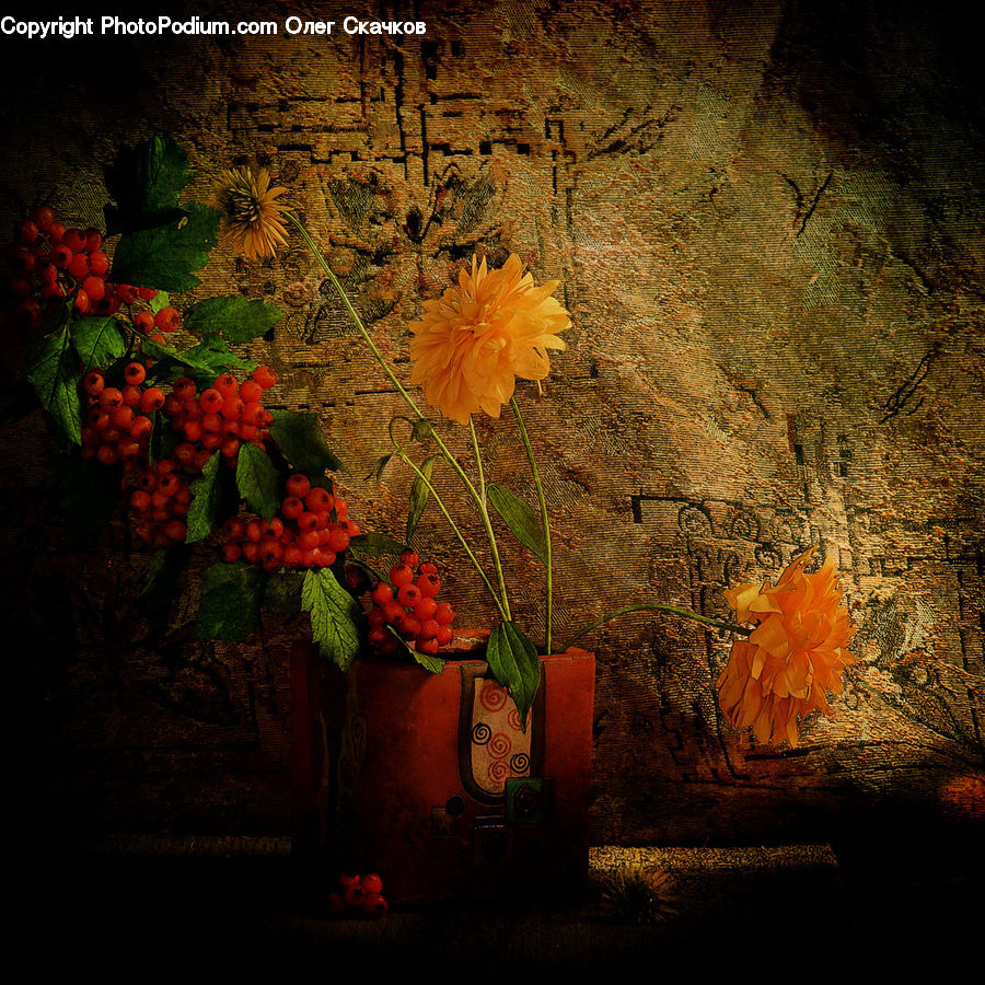 Fruit, Grapes, Blossom, Flora, Flower, Geranium, Plant