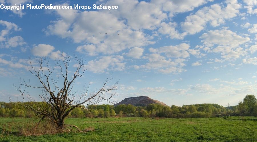 Field, Grass, Grassland, Land, Outdoors, Cloud, Cumulus