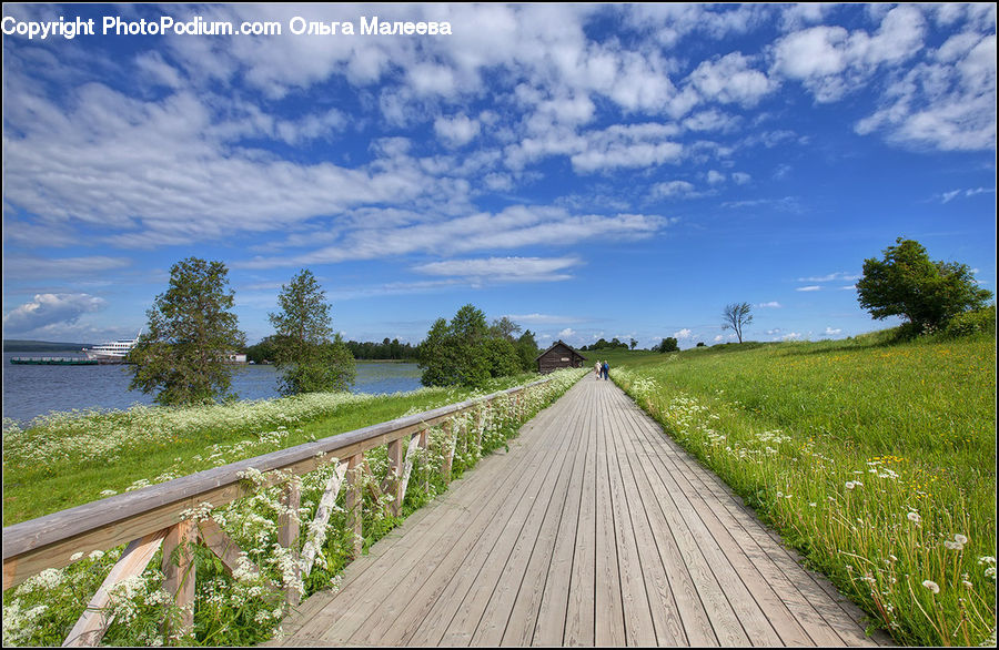Boardwalk, Deck, Path, Sidewalk, Walkway