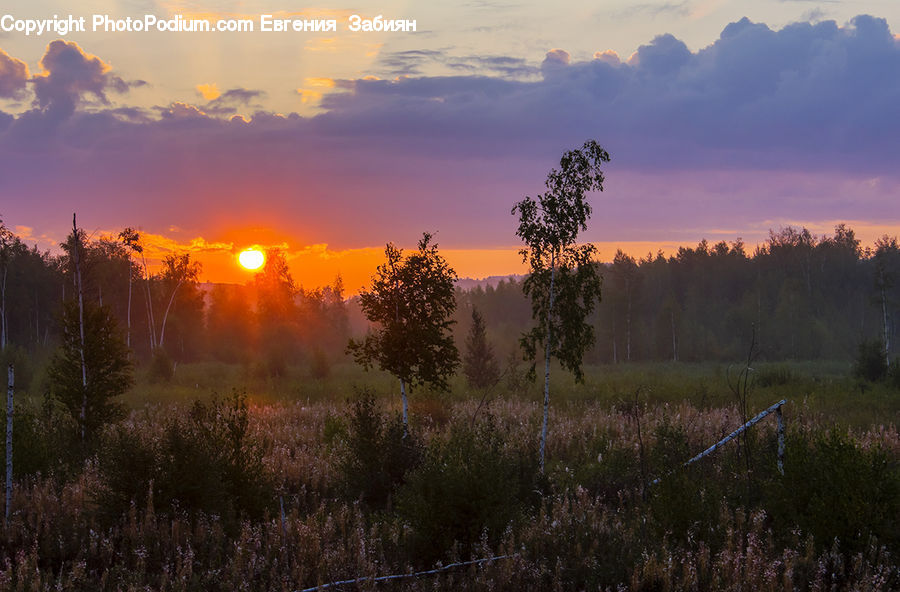 Dawn, Dusk, Sky, Sunrise, Sunset, Red Sky, Outdoors