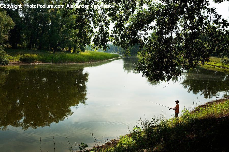 Outdoors, Pond, Water, Canal, River, Park, Blossom