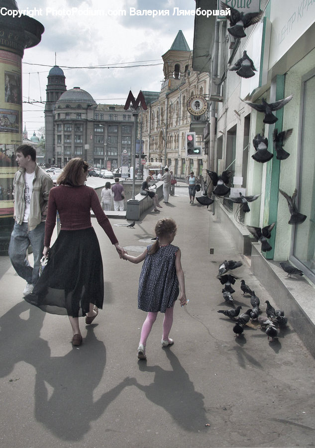 People, Person, Human, Bird, Pigeon, Clothing, Overcoat