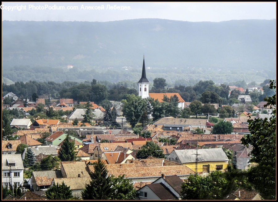 Architecture, Spire, Steeple, Tower, Aerial View, Ivy, Plant