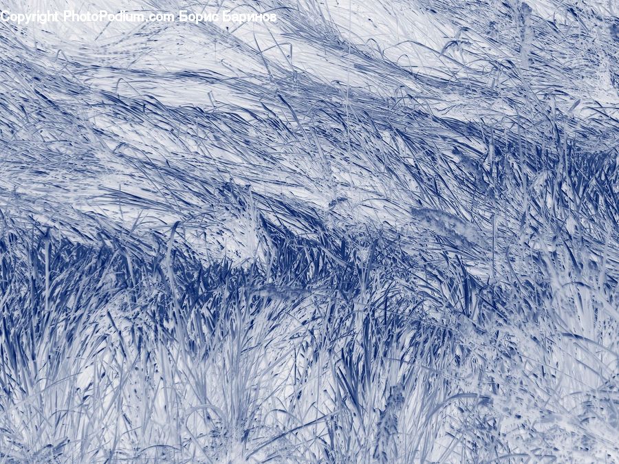 Field, Grass, Grassland, Plant, Frost, Ice, Outdoors