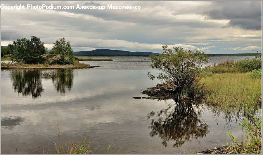 Lake, Outdoors, Water, Pond, Plant, Tree, Landscape