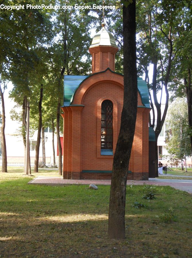 Architecture, Bell Tower, Clock Tower, Tower, Plant, Tree, Oak