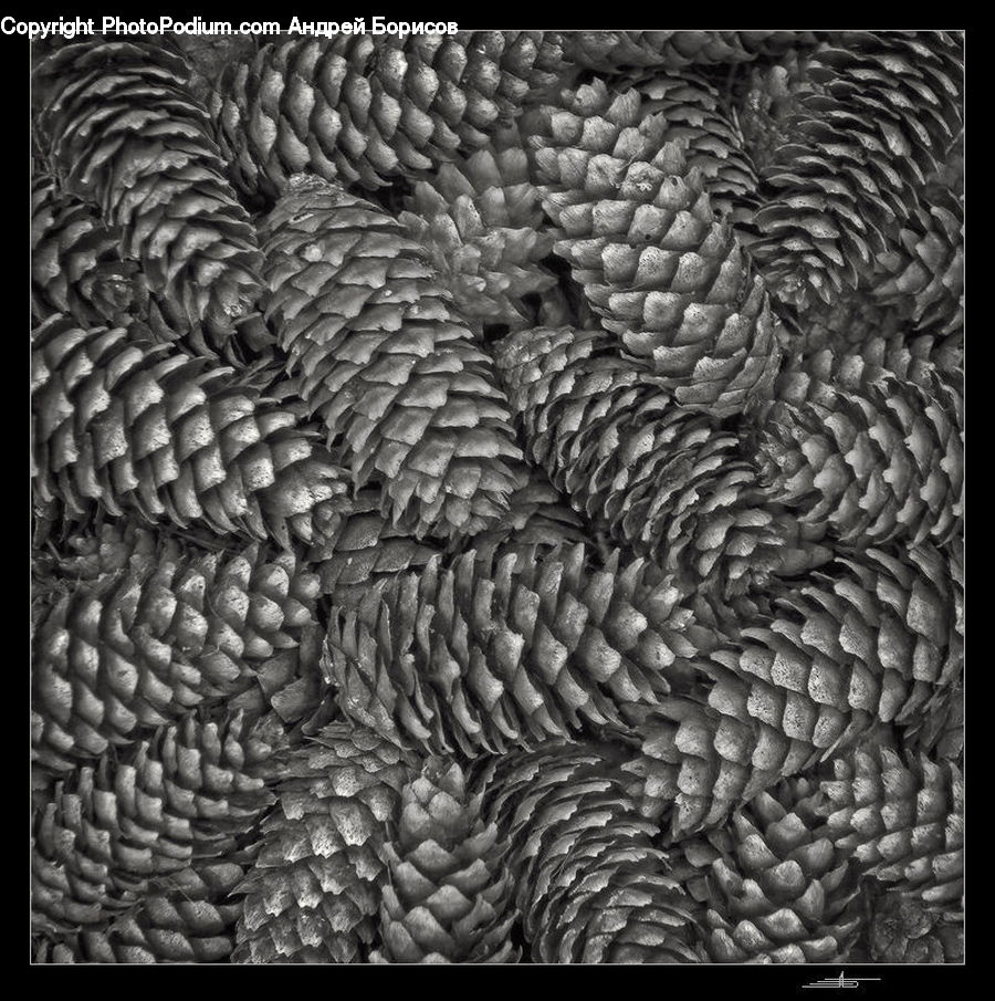 Fractal, Art, Modern Art