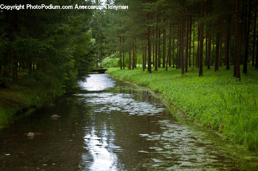 Outdoors, River, Water, Dirt Road, Gravel, Road, Canal
