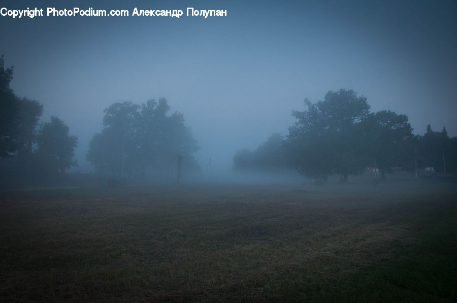Fog, Mist, Outdoors