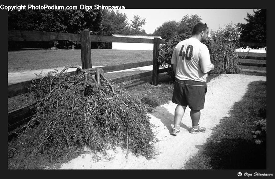 Human, People, Person, Bench, Back, Tomb, Tombstone