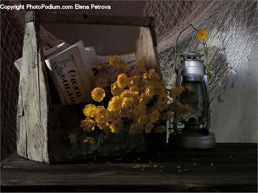 Lantern, Plant, Potted Plant, Tomb, Engine, Machine, Motor