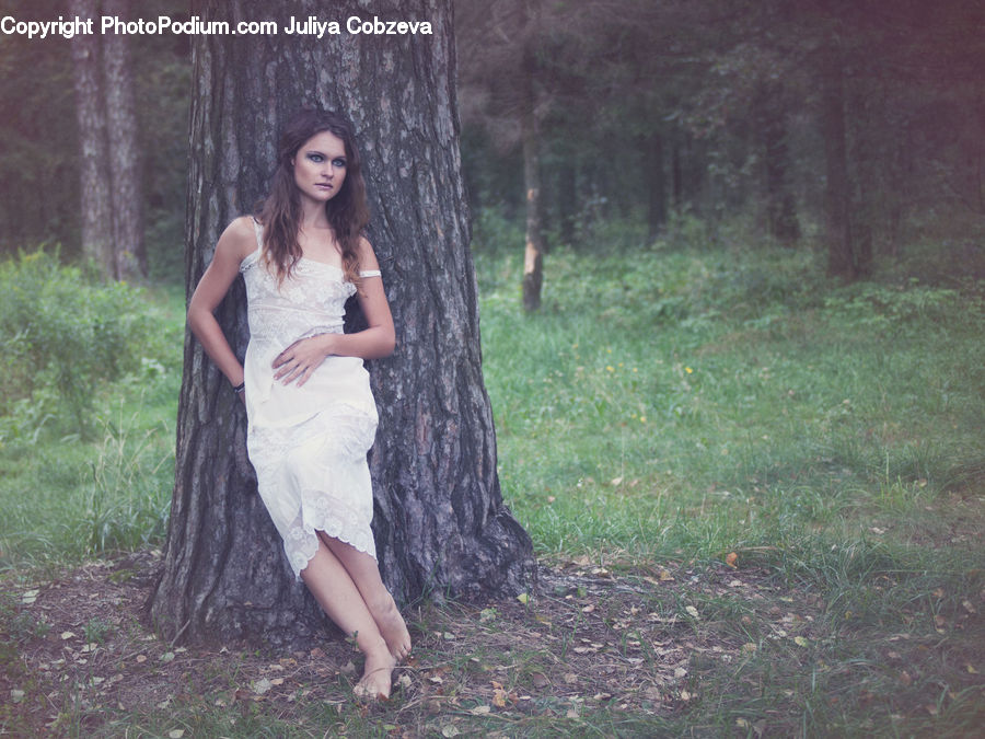 Human, People, Person, Clothing, Dress, Forest, Vegetation
