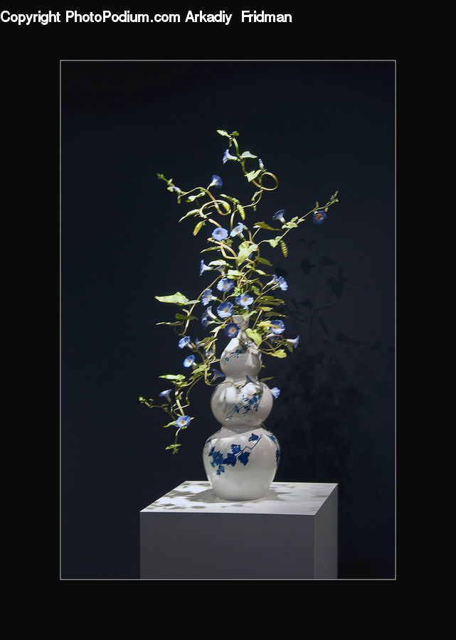Flower Arrangement, Ikebana, Plant, Potted Plant, Vase, Bonsai, Tree