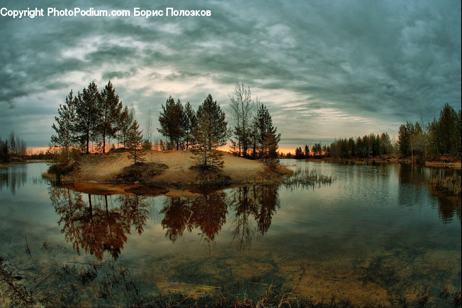 Land, Marsh, Pond, Swamp, Water, Outdoors, Forest