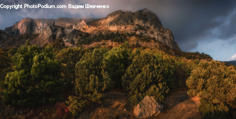 Mountain, Mountain Range, Outdoors, Conifer, Fir, Plant, Tree