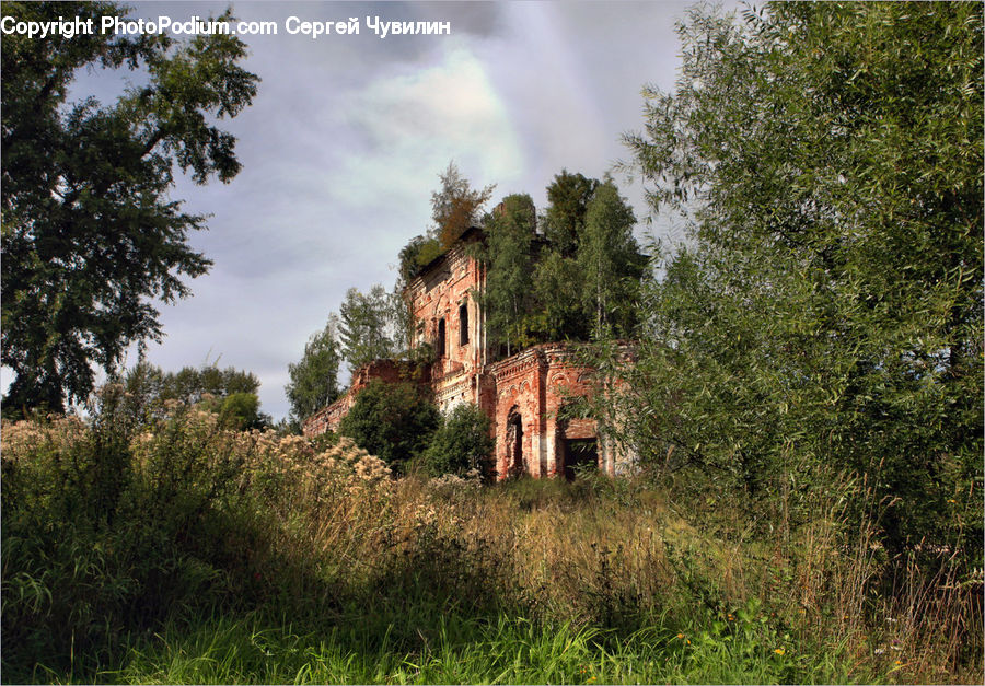Building, Cottage, Housing, Ruins, Plant, Vegetation, Brick