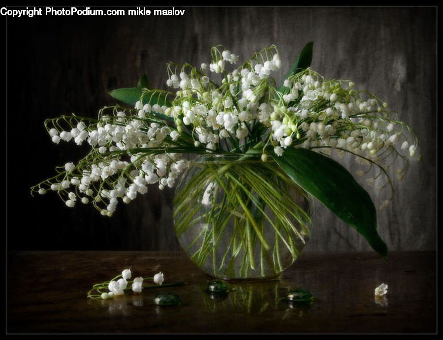 Floral Design, Flower, Flower Arrangement, Flower Bouquet, Ikebana, Blossom, Flora