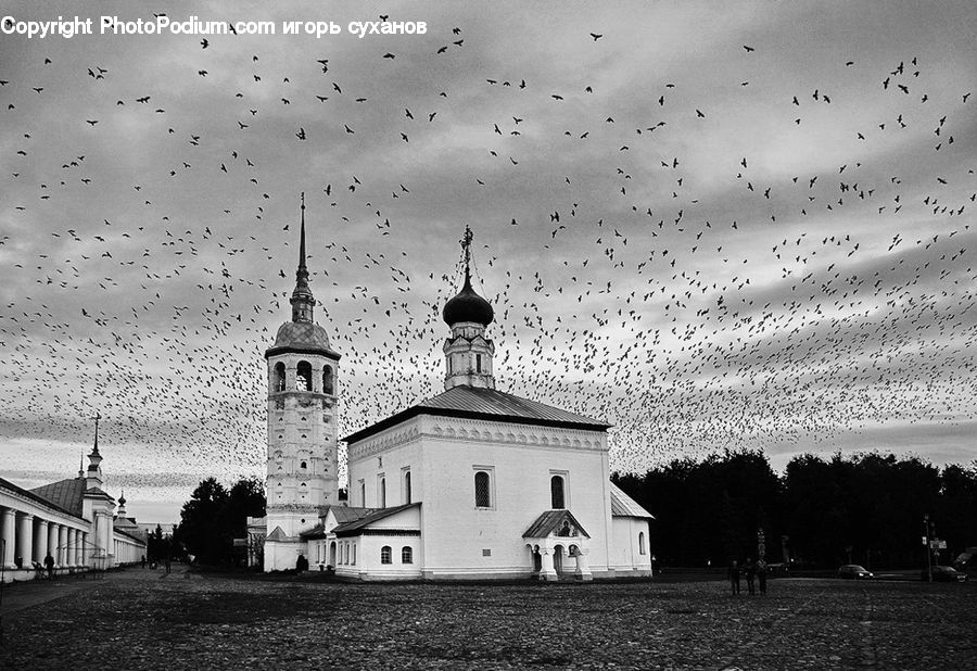 Architecture, Church, Worship, Housing, Monastery, Building, Cottage