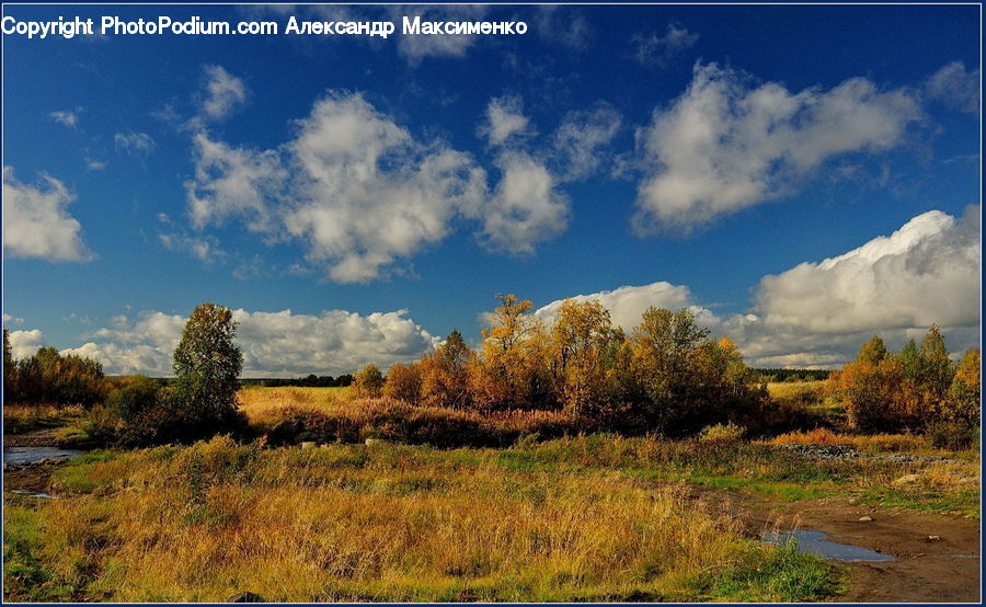Field, Grass, Grassland, Land, Outdoors, Cloud, Cumulus