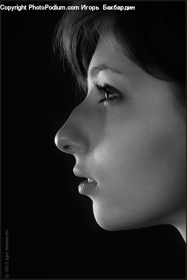 People, Person, Human, Back, Head, Portrait, Face