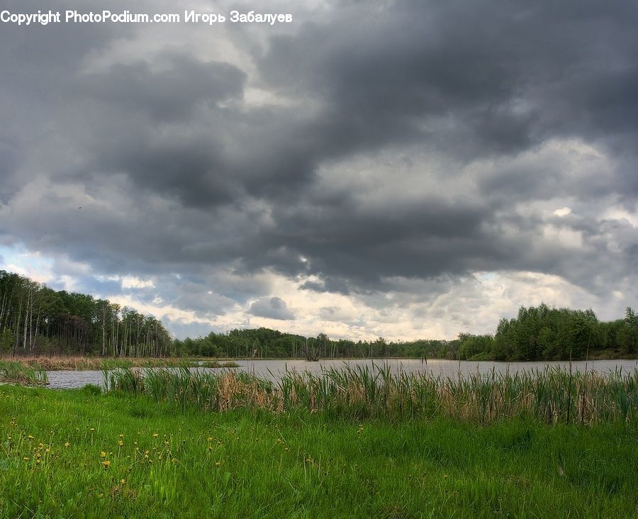 Field, Grass, Grassland, Land, Outdoors, Plant, Cloud