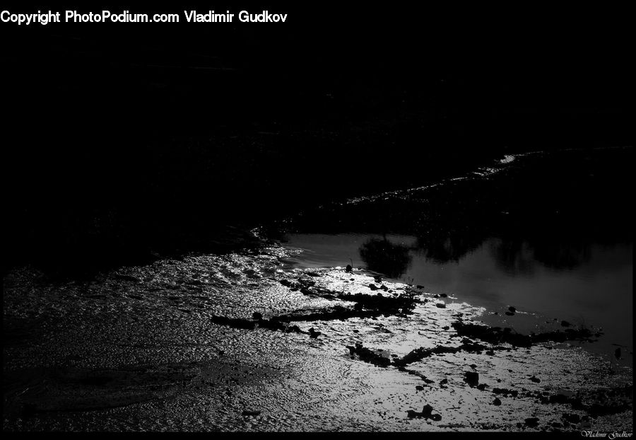 Outdoors, Sand, Soil, Night, Water, Plant, Tree