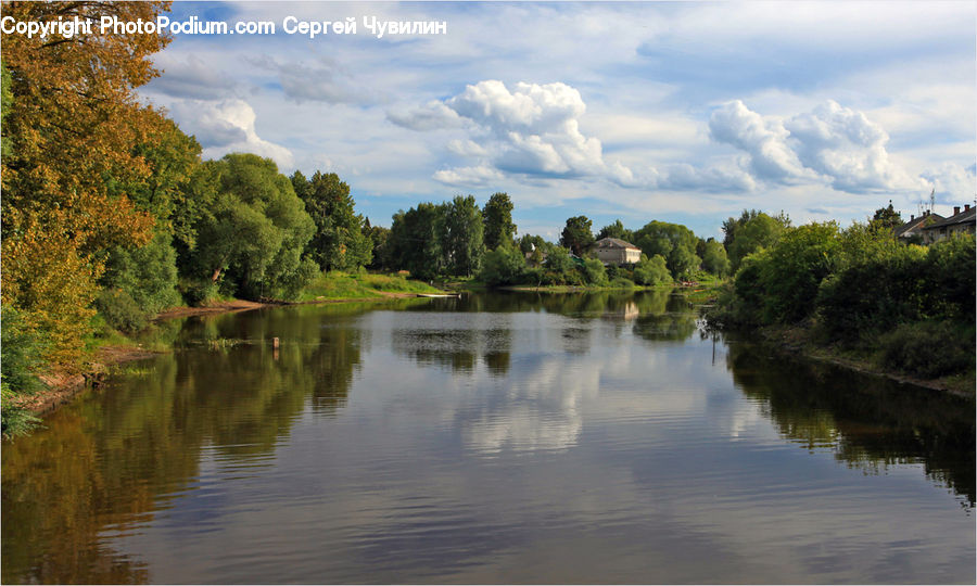 Canal, Outdoors, River, Water, Pond, Forest, Vegetation