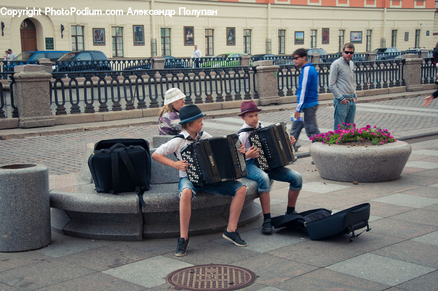 Accordion, Musical Instrument, People, Person, Human, Plant, Potted Plant