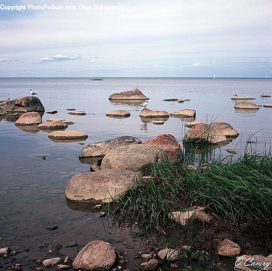 Coast, Outdoors, Sea, Water, Beach, Pond, Landscape