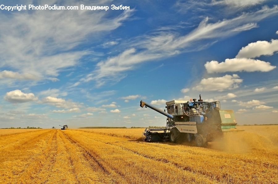 Army, Tank, Vehicle, Field, Half Track, Military, Grain