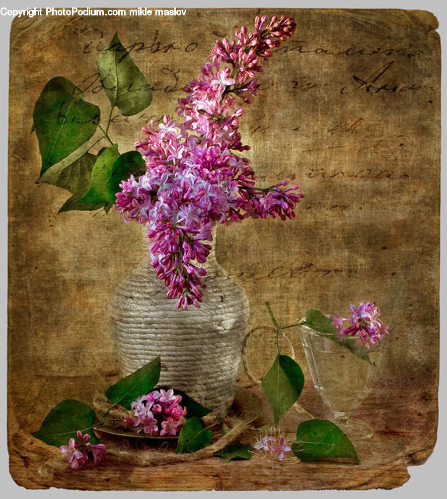 Plant, Potted Plant, Blossom, Flower, Lilac, Flower Arrangement, Ikebana