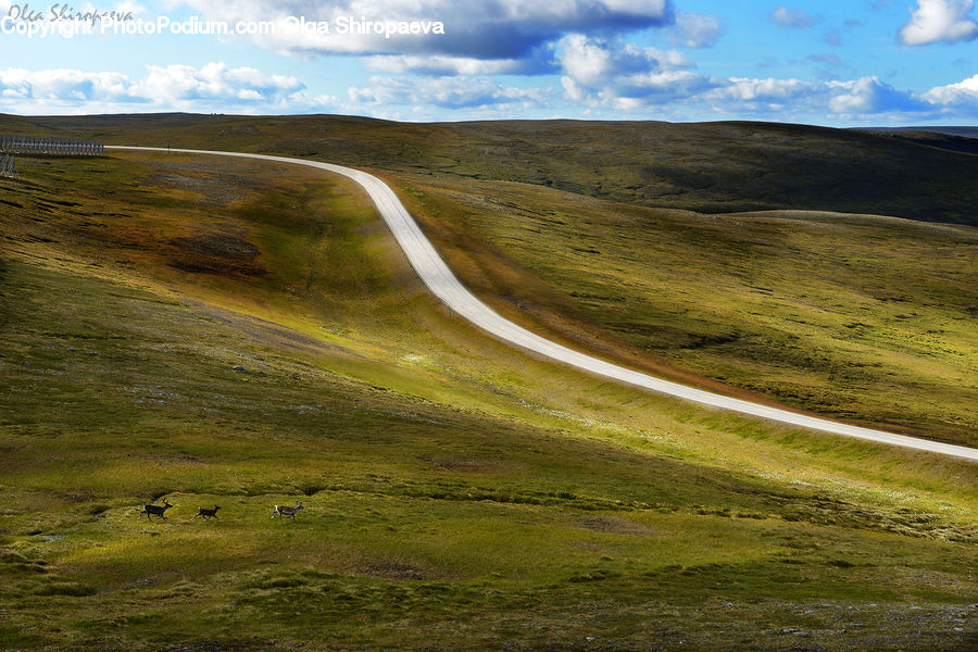 Field, Grass, Grassland, Land, Outdoors, Dirt Road, Gravel