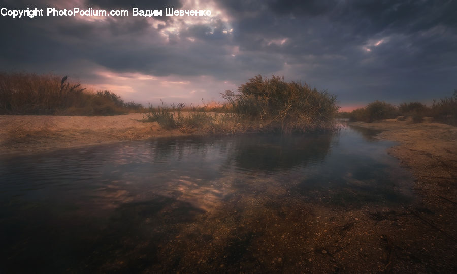 Land, Marsh, Pond, Swamp, Water, Dirt Road, Gravel