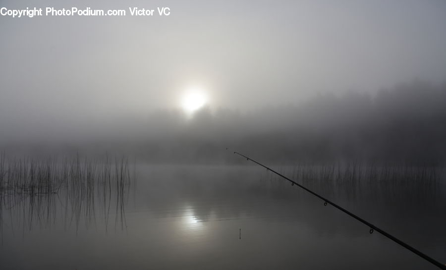Fog