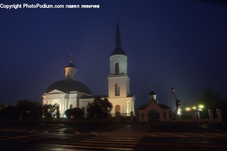 Plant, Potted Plant, Architecture, Bell Tower, Clock Tower, Tower, Night