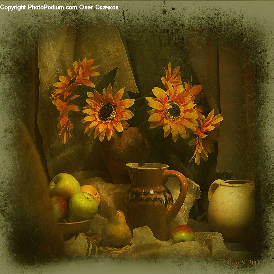 Plant, Potted Plant, Blossom, Flora, Flower, Sunflower, Jar
