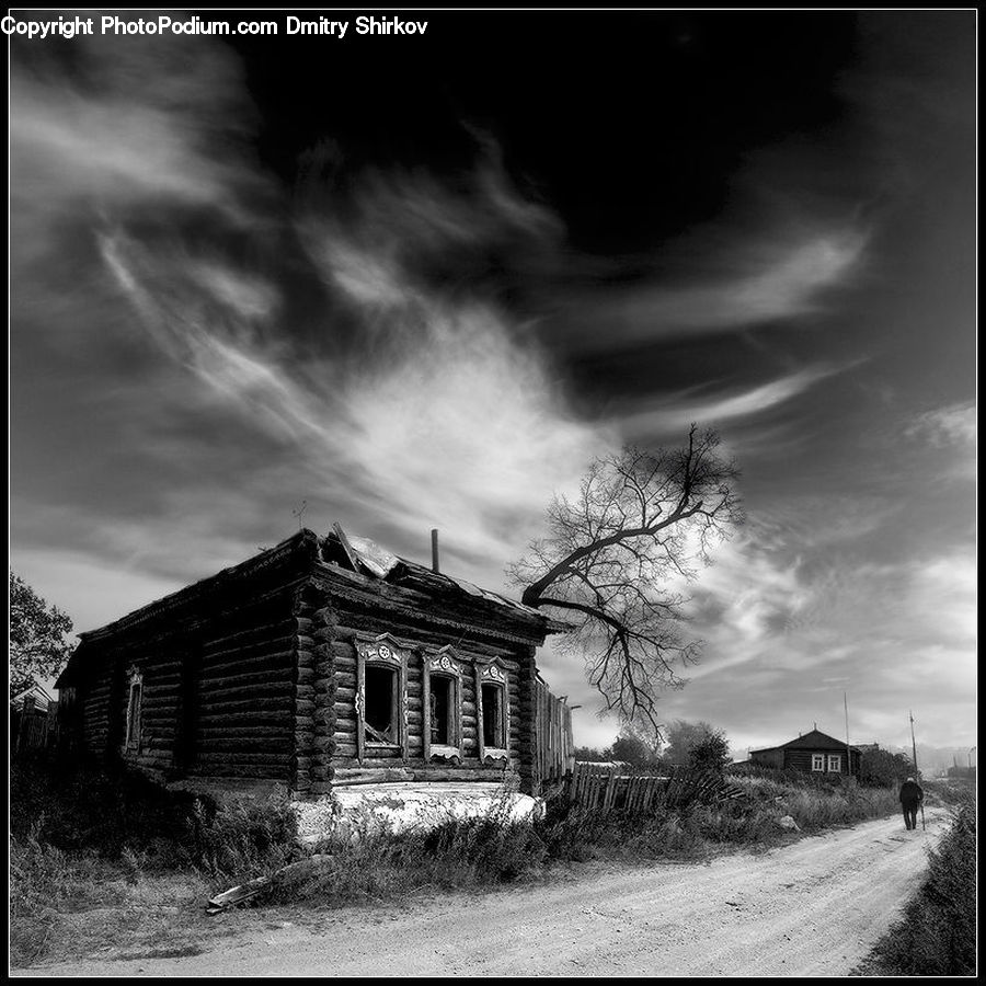 Cabin, Hut, Rural, Shack, Shelter, Building, Housing