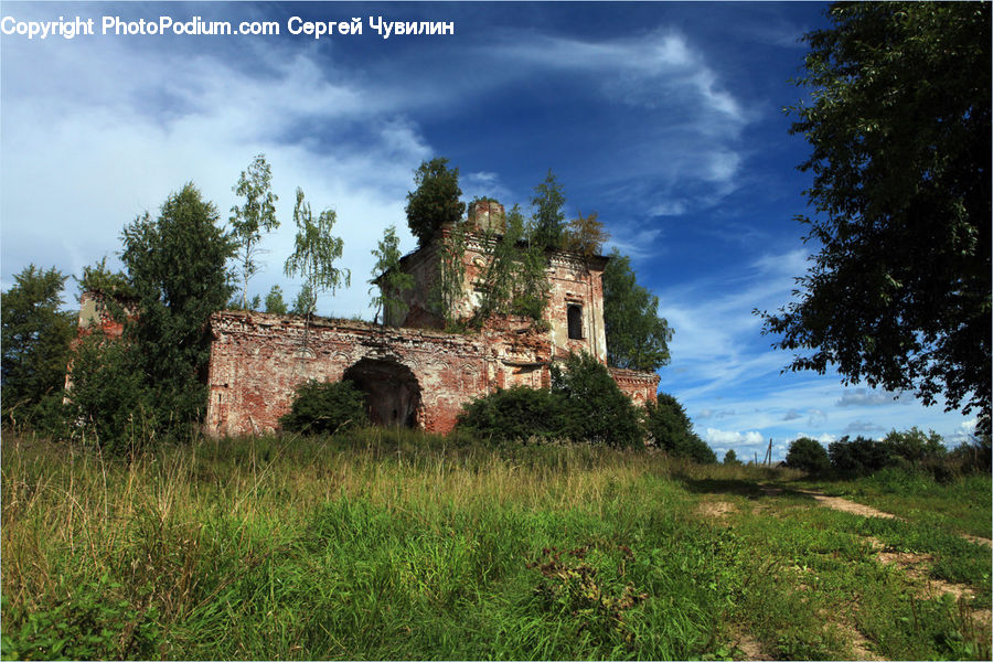 Architecture, Castle, Fort, Ruins, Conifer, Plant, Tree