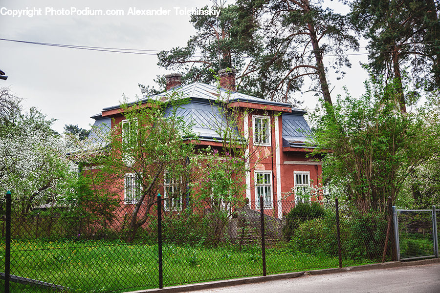 Building, Cottage, Housing, Villa, Brick, Plant, Tree