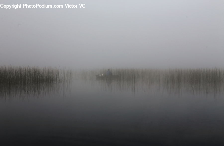Fog, Mist, Outdoors