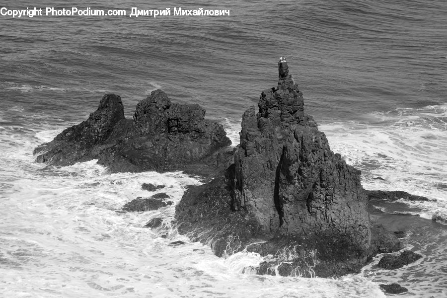 Tree Stump, Coast, Outdoors, Sea, Water, Sea Waves, Ocean