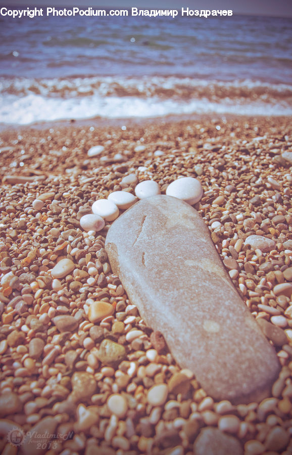 Bean, Produce, Vegetable, Pebble