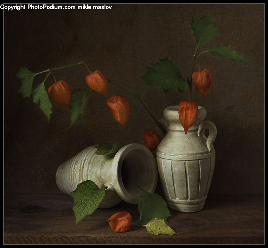 Plant, Potted Plant, Glass, Goblet, Jar, Pot, Urn