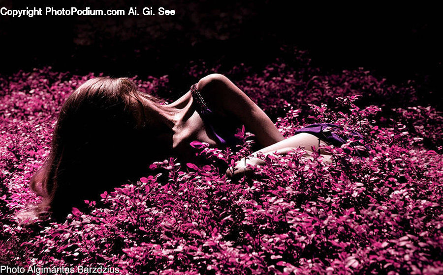 People, Person, Human, Blossom, Flora, Flower, Plant