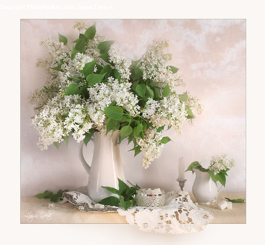 Blossom, Flower, Lilac, Plant, Flora, Floral Design, Flower Arrangement