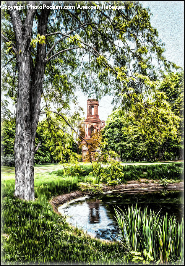 Outdoors, Pond, Water, Conifer, Fir, Plant, Tree