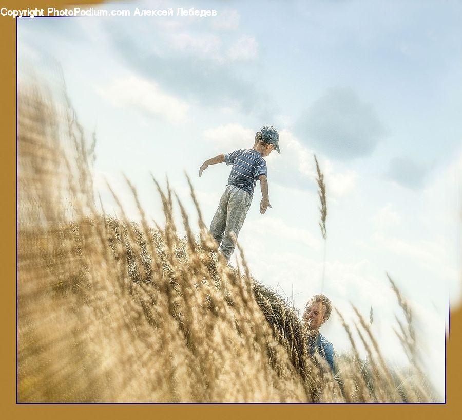 People, Person, Human, Grain, Wheat, Outdoors, Sand